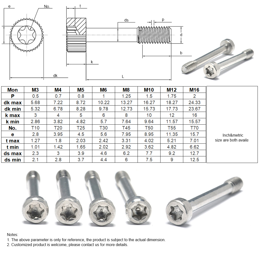 Tornillos cautivos de cabeza cilíndrica Torx-5B-14